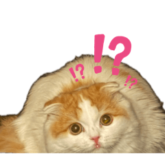 mom.56_20260503104840