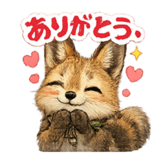 noko_20260502144546
