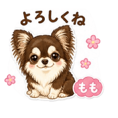 momo_20260502161945