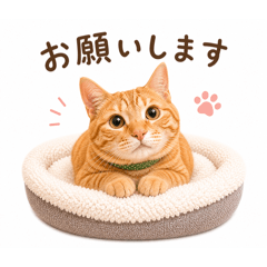 Yuruneko Daily Stickers 1
