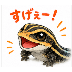 yamayama_20260502163329