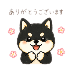 asami_20260502172638