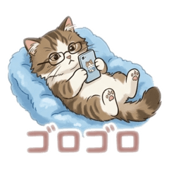 Seth the Kitten: 40 Daily Stickers!