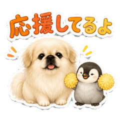 A friend of a Pekingese