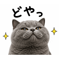 ikumi_20260502172507