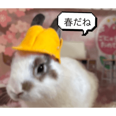 ito_20260502174930