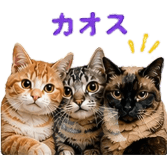 seitakkunn_20260502164601