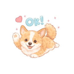 Corgi with a tail