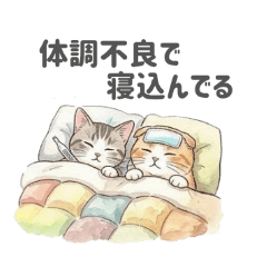 kinako_20260502173556