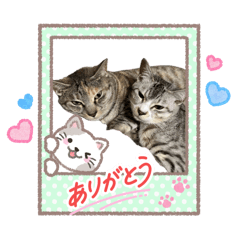 nameko&wasabi_20260502175250