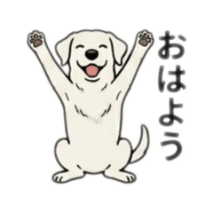 teoring_20260502202226