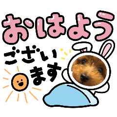 Rin_20260502202423