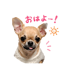 eri_runa