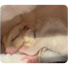 Moku_20260502190441