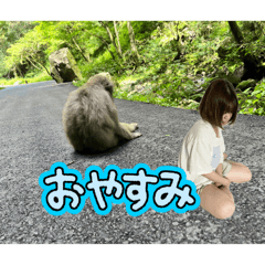 KMDI_20260502203005