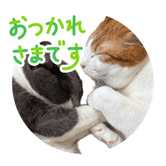 Cute cat stamps (eel & conger eel)