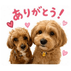 noribouzu_20260502203049