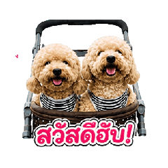 khame_20260504151514