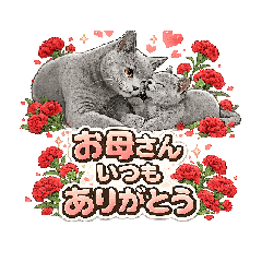 fujiyan8_20260504181233