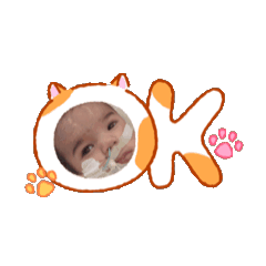 Mai_20260504183028