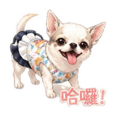 小黑頭日常2