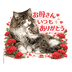 fujiyan8_20260505000141