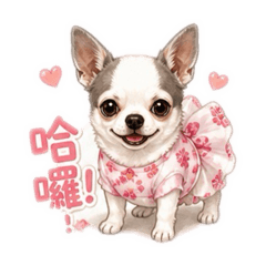 小黑頭日常