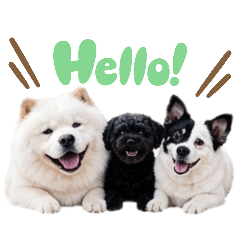 Trio Gandul
