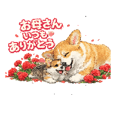 fujiyan8_20260505080424