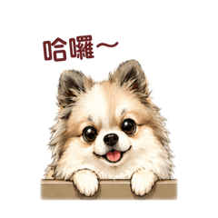 咪咘小日常2