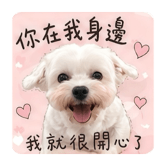 嗨錢錢！