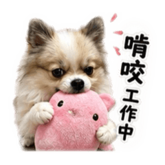 咪咘小日常3