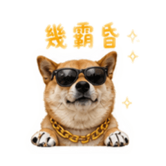 蓬英英的敷衍哲學