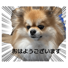 ZEN_20260503092016