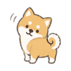 The carefree life of a Shiba Inu.