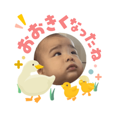 SAKI_20260503112042