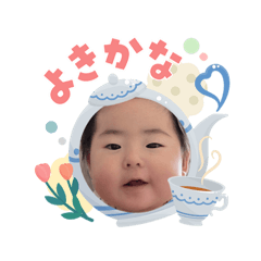 sekky_20260503112138