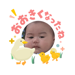 yukimitosora_202605