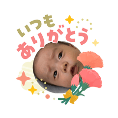 kagi_20260503111626