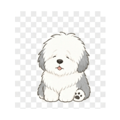Fluffy Sheepdog Days