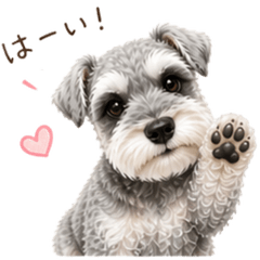 Miniature Schnauzer's Always Useful
