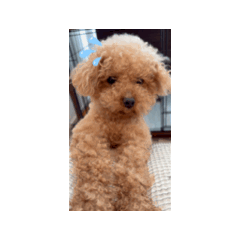 RINA_20260504101047