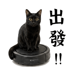 2026 meowmeowmeowmeowmeow