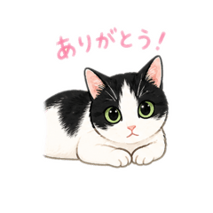 Sasakiyoshikazu_20260502175952