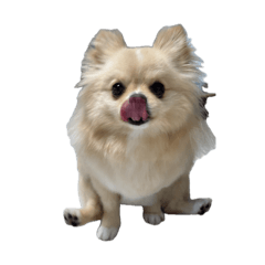 Kuu_20260502180542