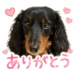 Ruirui_20260502180118