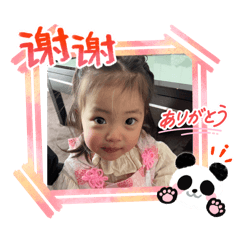 pan_20260502181148