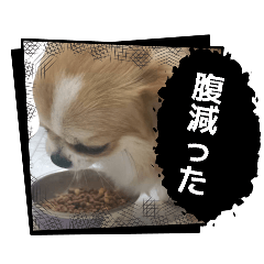 lili_20260503095955
