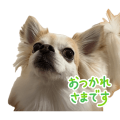 Kansai_20260503100032