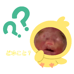 ayame_20260503120354